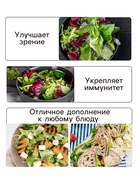 Семена Салат листовой «Букет», 0.5 г, «Аэлита. Лидер» - Фото 3