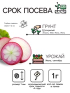 Семена Редька «Зимняя» круглая, чёрная, 1 г, «Агрофирма АЭЛИТА» - Фото 2