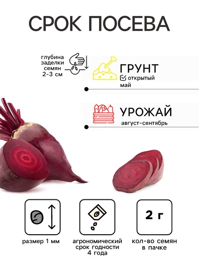 Семена Свекла столовая "Червона Кула" "Лидер", 2 гр.,