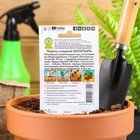 Семена Перец сладкий «Богатырь», 0.3 г, «Аэлита» - Фото 2