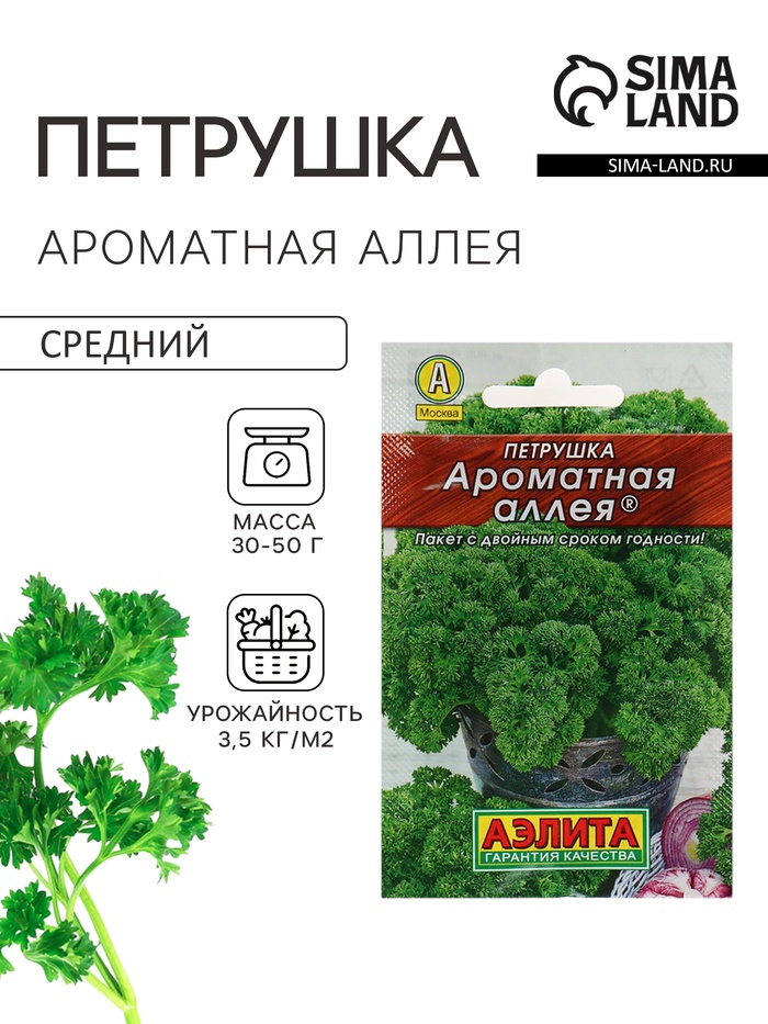 Семена Петрушка кудрявая «Ароматная аллея», 2 г, «Аэлита» - Фото 1