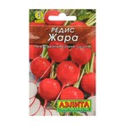 Семена Редис "Жара" "Лидер", 2 г , - Фото 3