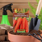 Семена Морковь «Лосиноостровская 13», 2 г, «Аэлита» - Фото 4