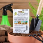 Семена Морковь «Лосиноостровская 13», 2 г, «Аэлита» - Фото 5