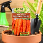 Семена Морковь «Королева осени», 2 г, «Аэлита» - Фото 7