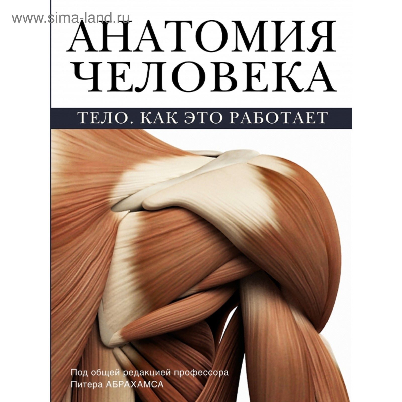 Анатомия человека. Абрахамс П. (1862287) - Купить по цене от 1 304.00 руб.  | Интернет магазин SIMA-LAND.RU