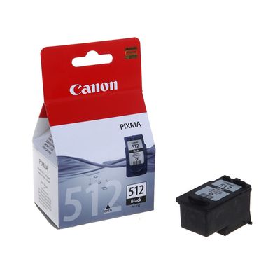 Картридж струйный Canon PG-512 2969B007, чёрный, для Canon MP240/MP260/MP480