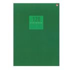 Тетрадь А4, 120 листов в клетку "Стиль и цвет. Зелёный", мелованный картон, матовая ламинация - Фото 1