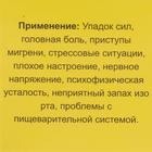 Мазь «Монастырская Феодосия Кавказского» от головной боли, "Бизорюк", 25 мл - фото 8299788