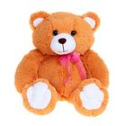 Мягкая игрушка «Медведь Данилка», цвет рыжий - Фото 1