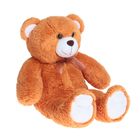 Мягкая игрушка «Медведь Данилка», цвет рыжий - Фото 3