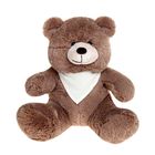 Мягкая игрушка «Медведь Мишутка» с сердцем, цвет коричневый - Фото 1