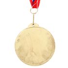 Медаль призовая 050 диам 7 см. 1 место, триколор. Цвет зол. С лентой - Фото 3