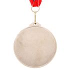 Медаль призовая 050 диам 7 см. 2 место, триколор. Цвет сер. С лентой - фото 3797801