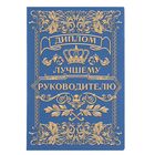 Диплом "Лучшего руководителя", 11.2 х 16,2 см - Фото 2