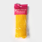 Мочалка для тела Доляна «Банная», 14×33 см, МИКС - Фото 6