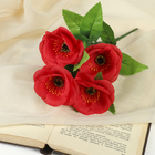 Букет "Открытые розы" 26 см, микс - Фото 1