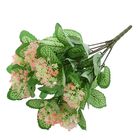 Букет "Фиттония с цветками" 35 см, микс - Фото 1