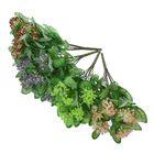 Букет "Фиттония с цветками" 35 см, микс - Фото 2