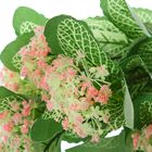 Букет "Фиттония с цветками" 35 см, микс - Фото 3