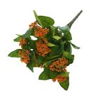 Букет "Хлорофитум" 35 см, микс - Фото 1