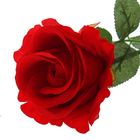 Цветы искусственные "Роза" 61*9 см, красная - Фото 2