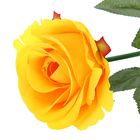 Цветы искусственные "Роза" 61*9 см, жёлтая - Фото 2