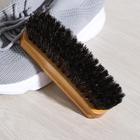 Щётка для обуви Тарри, 14×4 см, конский волос - фото 8930289