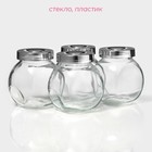 Банки для сыпучих Доляна «Блеск», 200 мл, с пластмассовой крышкой, набор 4 шт., стекло, прозрачные - Фото 2