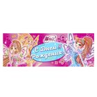 Набор для проведения праздника "День Рождения в школе юных волшебниц", феи ВИНКС - Фото 3