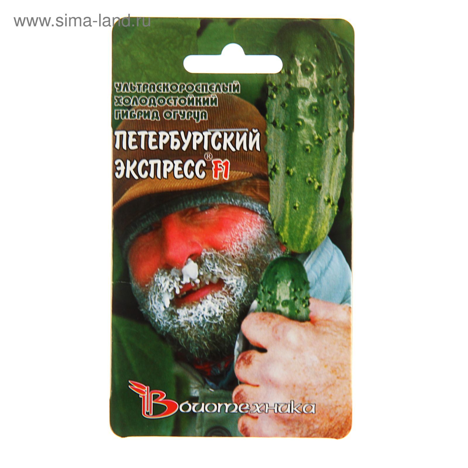 Огурцы петербургский экспресс отзывы фото Огурцы петербургский экспресс отзывы фото