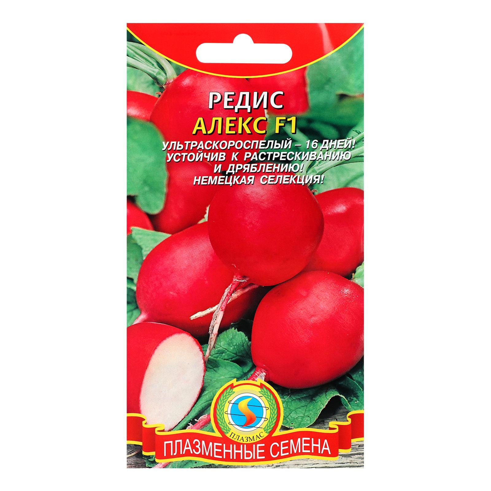 Редис алекс f1. Редиска алекс фото. Редис алекс f1. Уральский дачник семена редиса. Редис алекс f1, семена са.