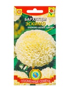 Семена Бархатцы низкорослые "Эскимо", 10 шт - Фото 1