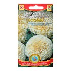 Семена Бархатцы низкорослые "Эскимо", 10 шт - Фото 3