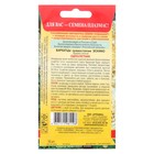 Семена Бархатцы низкорослые "Эскимо", 10 шт - Фото 4