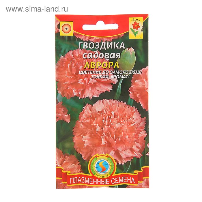 Семена цветов Гвоздика садовая "Аврора", О, 0,1 г - Фото 1