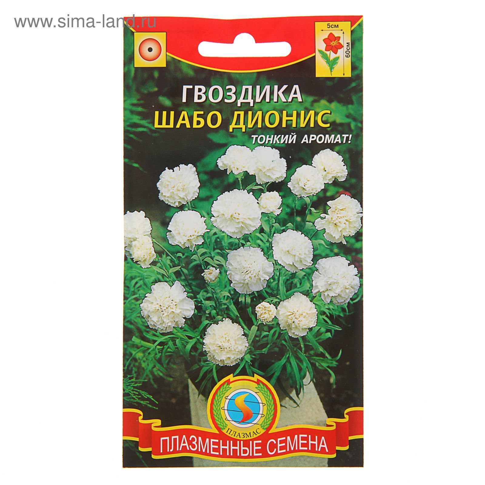 Как выглядят семена гвоздики шабо Как выглядят семена гвоздики шабо
