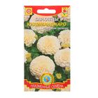 Семена Бархатцы "Килиманджаро", 10 шт - Фото 1