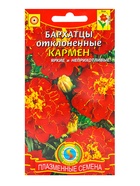 Семена Бархатцы "Кармен", красные с желтым, 45 шт - Фото 1