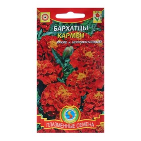 Семена Бархатцы "Кармен", красные с желтым, 45 шт
