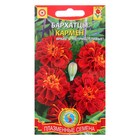 Семена Бархатцы "Кармен", красные с желтым, 45 шт - Фото 3