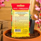 Семена Бархатцы "Кармен", красные с желтым, 45 шт - Фото 6