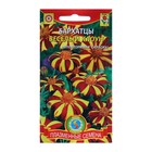 Семена Бархатцы "Весёлый клоун", 20 шт - Фото 1