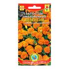 Семена Бархатцы низкорослые "Валенсия", 45 шт - Фото 3