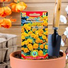 Семена Бархатцы низкорослые "Валенсия", 45 шт - Фото 1