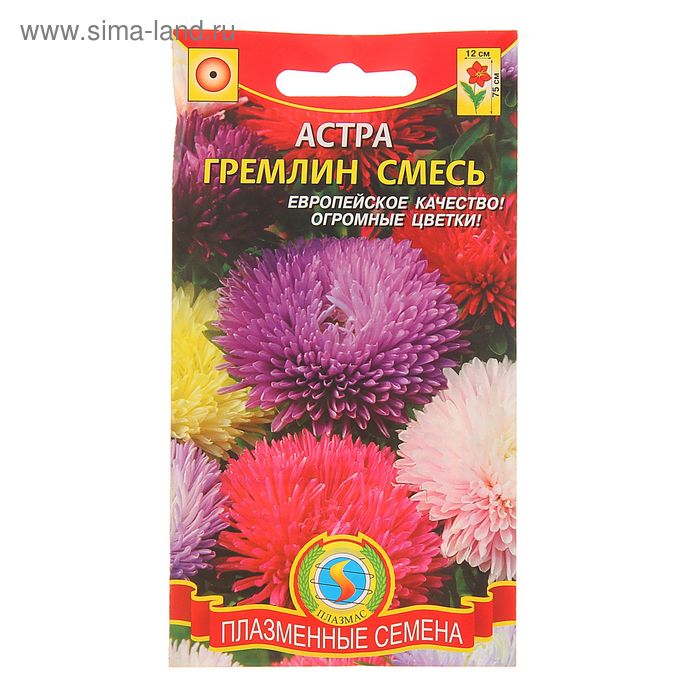 Семена цветов Астра "Гремлин смесь", О, 0,2 г - Фото 1