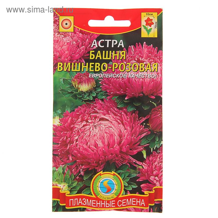Семена цветов Астра "Башня" вишево-розовая, О, 0,3 г - Фото 1