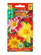 Семена Георгина "Денди", 0,1 г - Фото 1