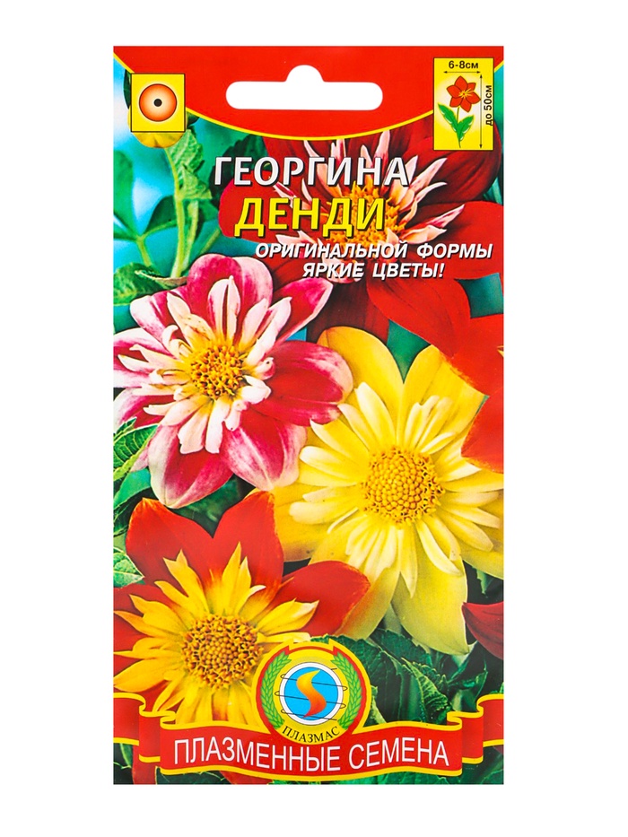 Семена Георгина "Денди", 0,1 г - Фото 1