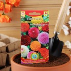 Семена Георгина махровая "Помпонная", смесь, 12 шт - Фото 3